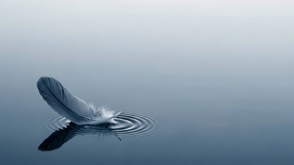 A Single Feather Gently Floating on Calm Water Surface.