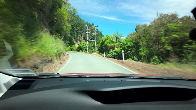POV Drive on Curving Mountain Road With Power Poles