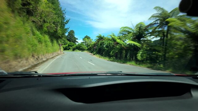 POV driving on winding hillside road in New Zealand