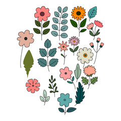 Collection of spring colorful flower elements vector. Set floral of wildflower, leaf branch, foliage on white background.