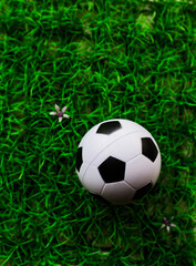 Fototapeta premium Sports Equipment: Soccer Ball on Lush Green Grass with Small Flowers Visible, Outdoor Recreation Concept, Close-up