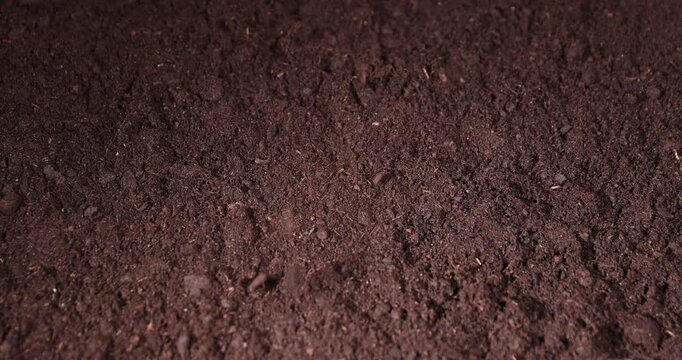 soil mixed with various ingredients for growing seedlings and indoor plants, minerals and vitamins, humus and peat are added to the soil to improve growth and yield