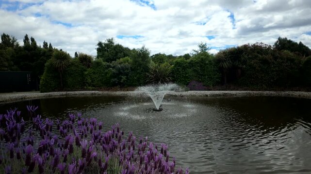 Garden Lagoon With Spray Fountain And Lavender Flowers