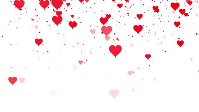 Happy Valentines day animation on white background with hearts and dust particle failing. love and passion 14 February and anniversary design concept. 