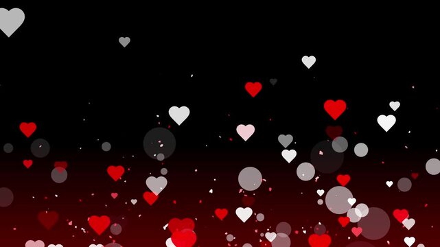 Happy Valentines day animation on black background with flying white-red hearts icon and dust particle. love and passion 14 February and anniversary design concept. 