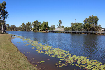 Hoods Lagoon with water, lily pads, trees and a walkway under a blue sky in Clermont, Queensland, Australia