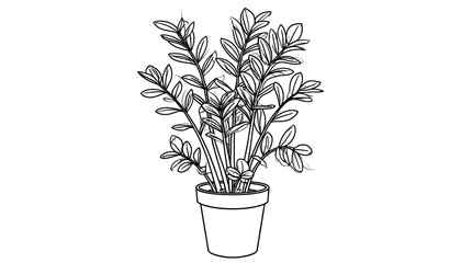 Line drawing of a potted ZZ plant, featuring upright stems and numerous oval-shaped leaves, depicted in minimalist black and white