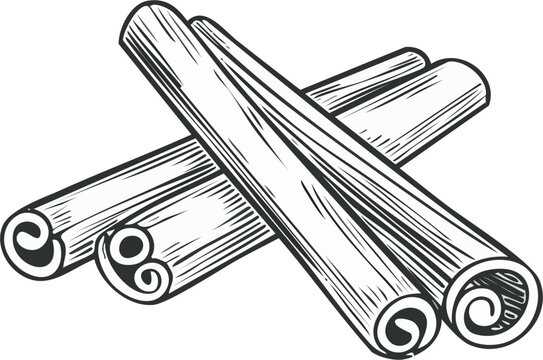 Hand drawn vector line art engraving of cinnamon sticks, spice ingredient, vintage engraving