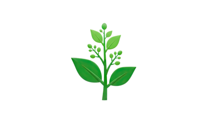 Green plant with leaves and buds on transparent background