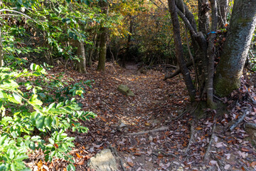 Fototapeta premium Kyoto Trail and surrounding area scenery