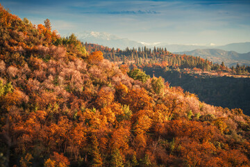 Autumn in the mountains landscape