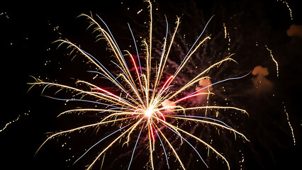 Golden and white firework explosion in night sky during festive celebration or grand outdoor event