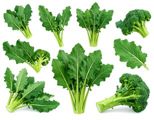 Fresh broccoli florets and leaves composition on white background, healthy eating concept