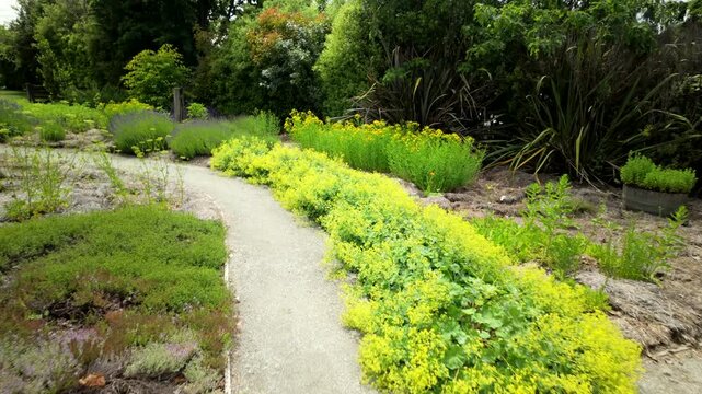 Curving garden path through lush greenery on a farm