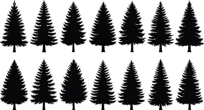 Black pine tree silhouettes set isolated on white background for forest woodland nature landscape and christmas holiday decorative design elements, (20 words)