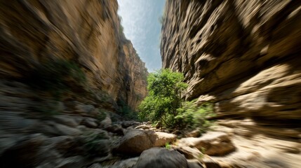 Dramatic Canyon Trek with Sunlit Rocks, Greenery, and Breathtaking Nature Journey.