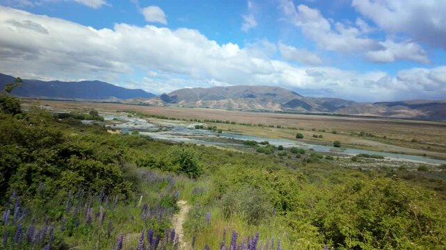 Hiking trail above braided river valley with mountains and wildflowers