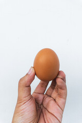 A hand holding a brown chicken egg against a clean white background.