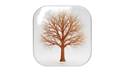 3D Bare Tree Inside a Clear Dome on transparent background