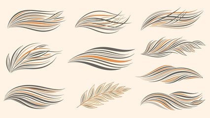 Set of abstract flowing lines and brush strokes.