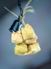 Vietnamese coconut leaf cake, with a wrapper made from coconut leaves and a filling of glutinous rice and various types of beans