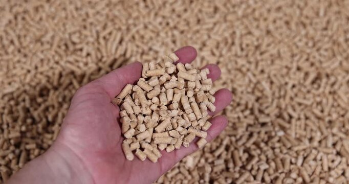 a large number of cylindrical pellets made from sawdust of coniferous spruce or pine trees, the pellets are used both for indoor heating and for bedding for pets, wood pellets