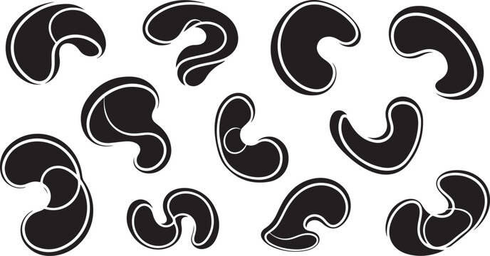 Collection of black and white cashew nuts