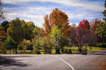 Autumn leaves and rich fall colors across Quebec landscapes, highlighting seasonal beauty and nature.