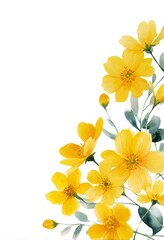 Fototapeta premium watercolor, yellow wildflowers on a white background pattern, border frame with white space in the middle, seamless design.
