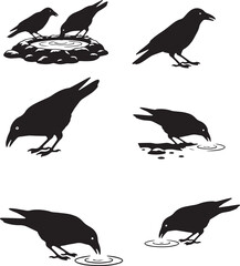 Obraz premium crow silhouette