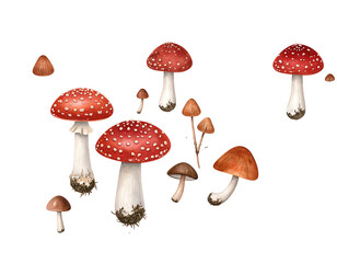 A collection of various mushrooms with vibrant red caps and white spots, set against a stark black background. Different sizes and styles