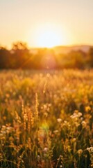 Obraz premium Vertical Blurred Golden Hour Sunrise Landscape Background with Warm Bokeh