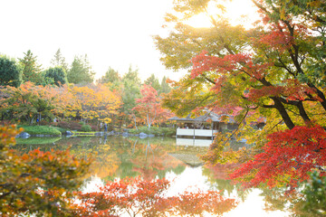 Obraz premium Autumn Foliage Framing a Traditional Japanese Pavilion by the Pond