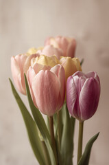 フローラルデザインの定番として使えるチューリップの整列背景の縦画像. 生成AI