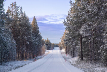 A road leads through a forest covered in snow. Tall trees line both sides, with the sun beginning to rise in the distance, illuminating the scene.