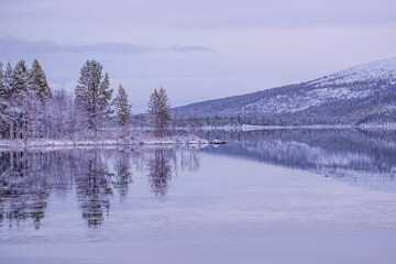 Snow covers the ground and trees along the edge of a lake. The water is calm and reflects the trees and hills in the distance. It is winter.