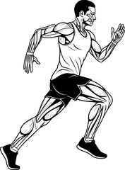 Fototapeta premium Detailed Line Art Illustration of a Male Runner in Mid-Stride Showing the Skeletal and Muscular Anatomy for Medical and Fitness Concepts