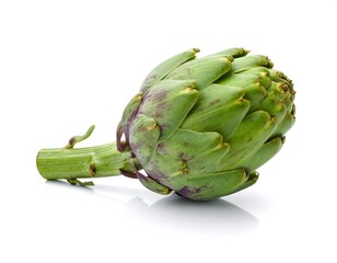 Green artichoke lying on its side with stalk, isolated on white with slight shadow