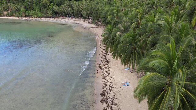 The aerial view of the coast around Port Barton, Philippines