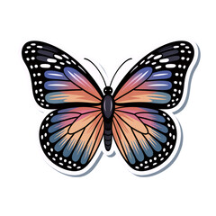 Vibrant Butterfly Illustration with Detailed Wing Patterns and Gradient Colors