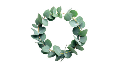 Circular arrangement of fresh, green foliage on a black background