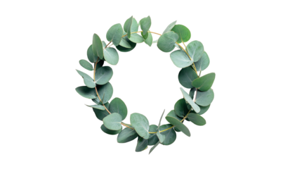 Circular arrangement of fresh, green foliage on a black background