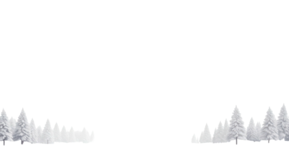 Snow-covered trees line a ground layer under a black expanse