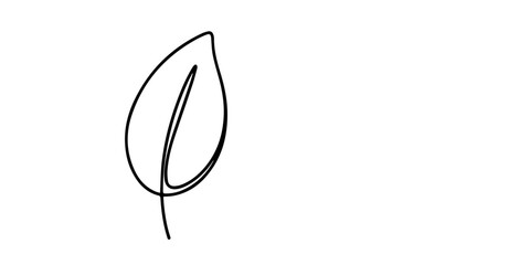 hand drawn leaf icon illustration with single line doodle concept vector, One continuous line leaf. Linear plants. Hand drawing leaves. Vector 10 Eps. Description: Black leaf in one line art style. 
