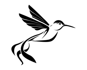 bird logo design and art