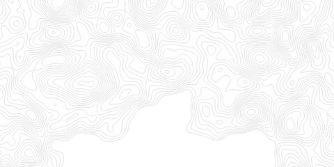 Contour abstract map relief land outline. Topographic map patterns. White wave paper curved reliefs abstract background. Background of the topography map. Abstract pattern with lines. © armans