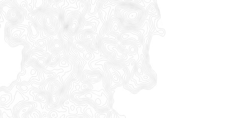 Contour abstract map relief land outline. Topographic map patterns. White wave paper curved reliefs abstract background. Background of the topography map. Abstract pattern with lines.
