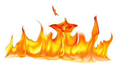 Vivid flames of orange and yellow against a stark, black background