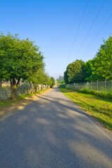 길거리, 네이처, sky, 경관, 나무, 경로, green, 농촌, 여름, 목초, 시골, 아스팔트, 국가, 길, 여행, 거리, 공원, 들판, 간선도로, 구름, 봄, 산책로, 레인