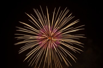 fireworks in the night sky